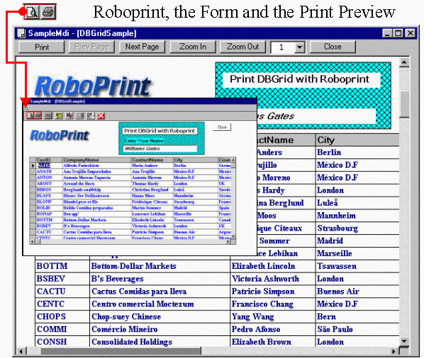 Roboprint for VB6 5.4 by Robocx- Software Download