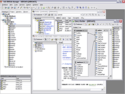 EMS SQL Manager for DBISAM