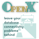 OpenX ASP Edition