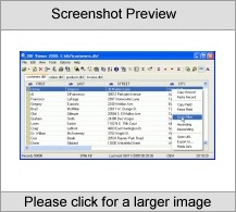 DBF Viewer 2000 Software