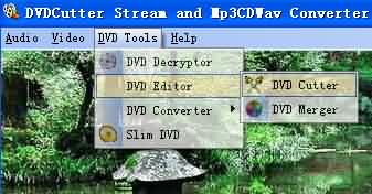 DVDCutter Stream Mp3CDWav Converter Pro