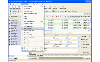 Mp3 Tag Assistant Professional 2.85