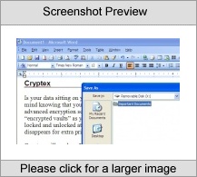 Cryptex 600 MB Encrypted Vault Software