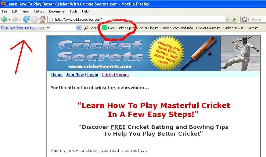 How To Play Cricket: CricketSecrets.com Tool Bar