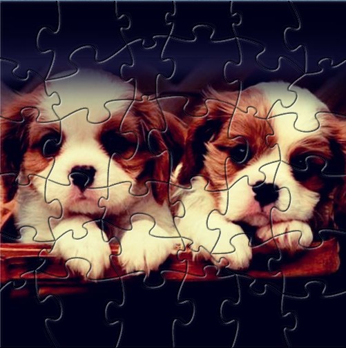 Two Puppies Puzzle