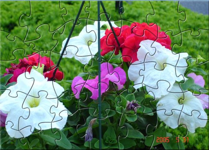 RSP Super Flower Puzzle