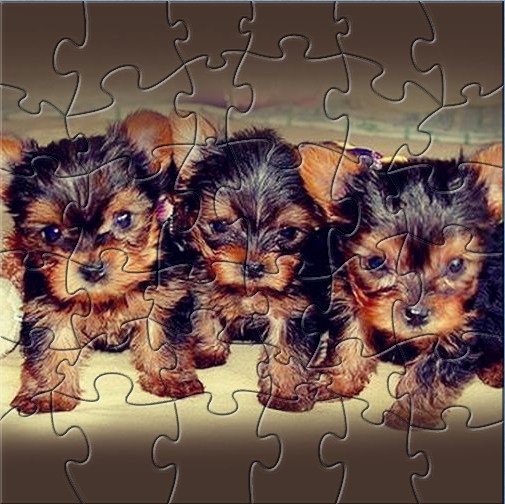 Three Puppies Puzzle