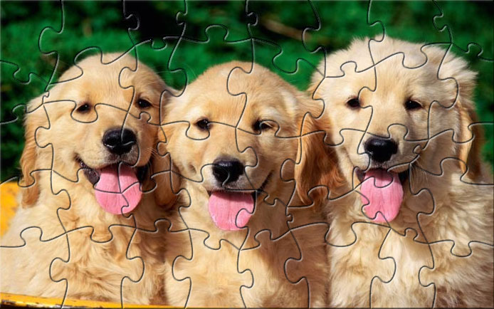 Cute Puppy Puzzle