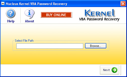 VBA Password Recovery Software