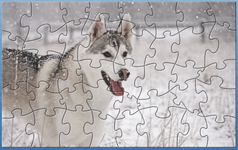 CA Dog Puzzle