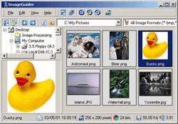 Image Guider 3.1Viewers by VIMAS Technologies - Software Free Download