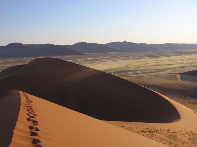 Sand Desert Screensaver