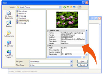 Image Open Save Dialog