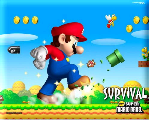 Super Mario Bros The Best Survival