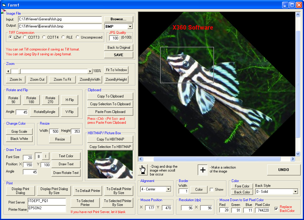 X360 Image Viewer ActiveX OCX (Team Developer)