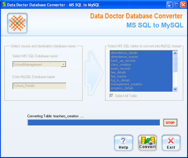 Microsoft SQL Database Migration Program
