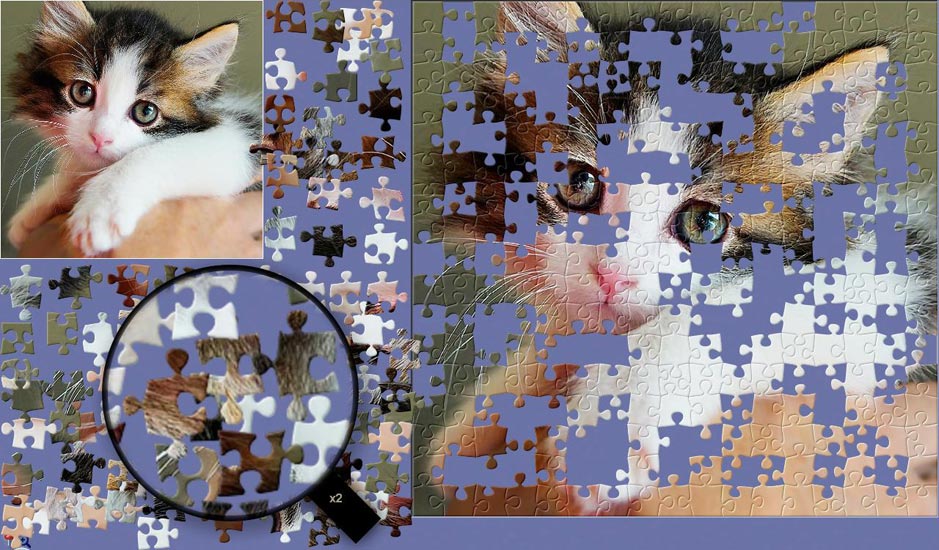 BrainsBreaker jigsaw puzzles