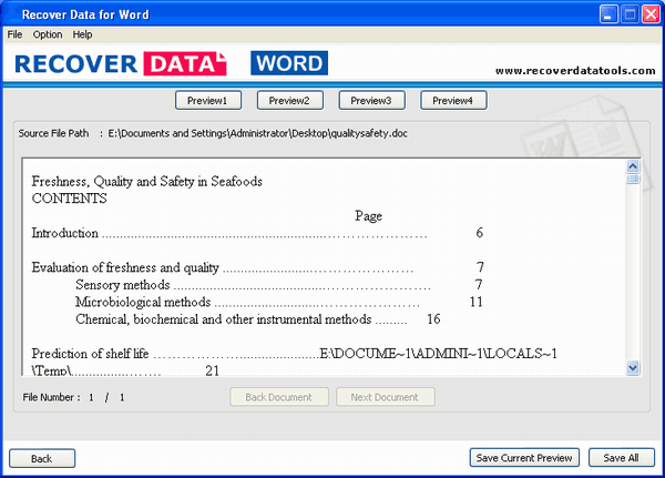 MS Word Recovery Tool