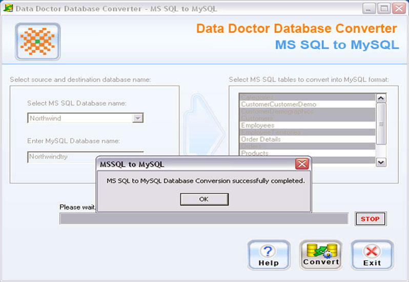 Microsoft SQL Database Conversion Tool