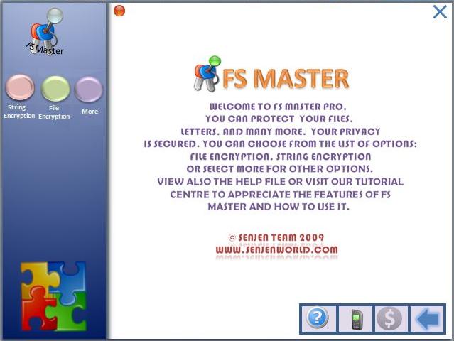 FS Master Pro