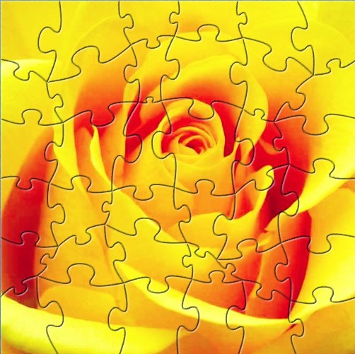 Yellow Rose Picture Puzzle