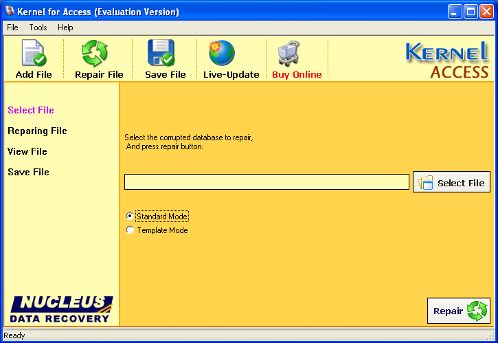 Repair Access File