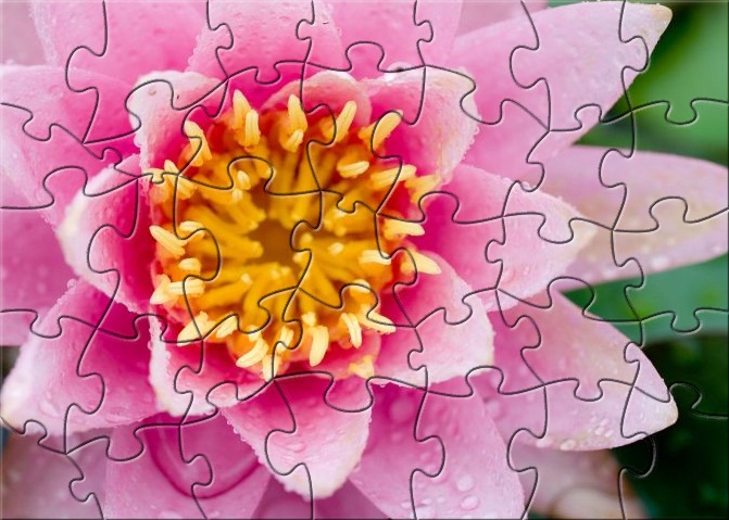 RA Lotus Flower Puzzle