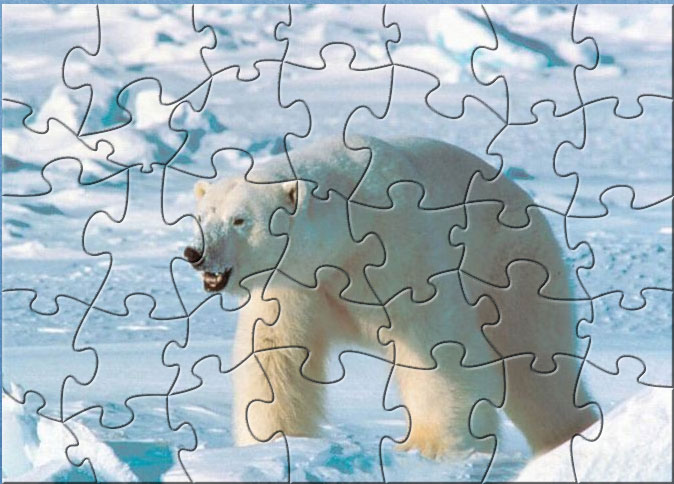 Polar Bear puzzle