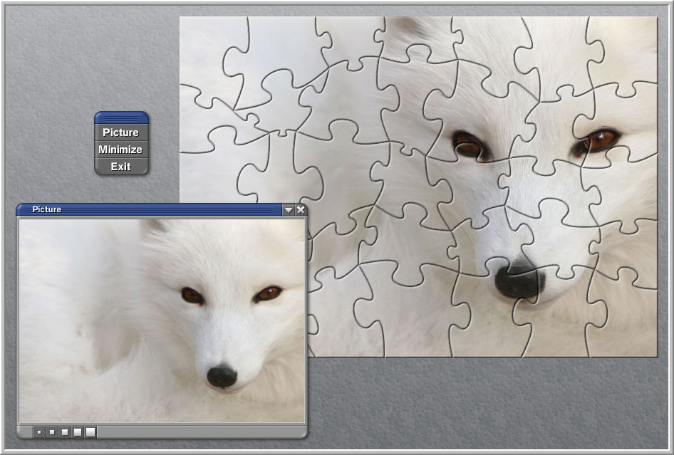 LBVRD Arctic Fox Puzzle
