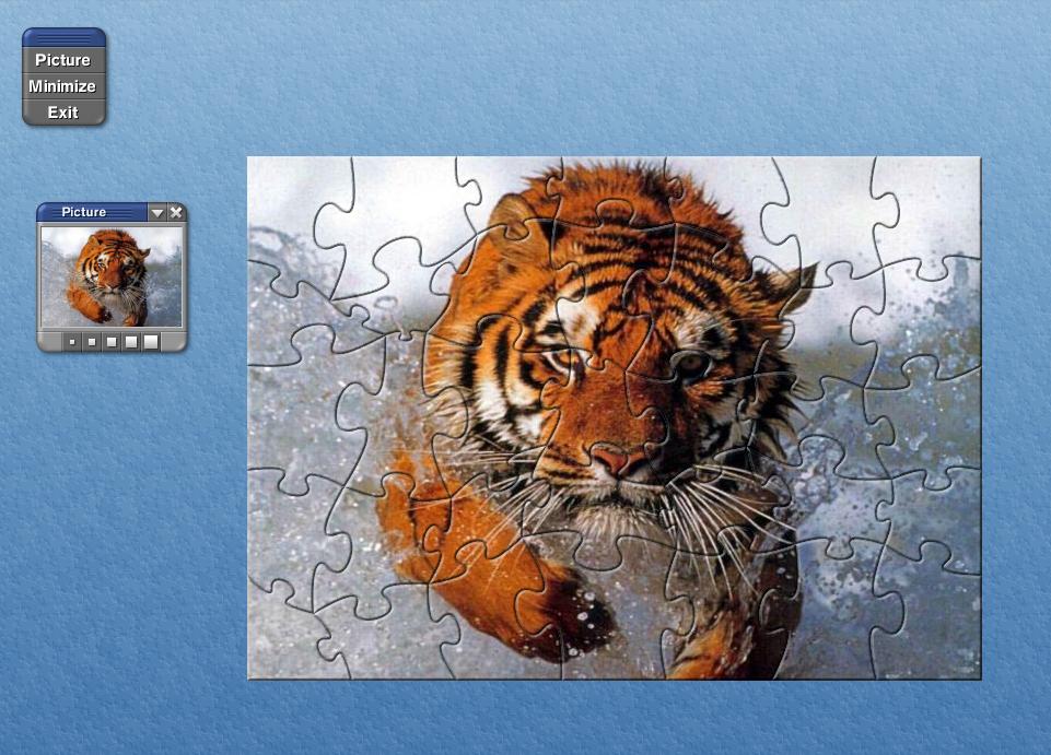 125SFierce Tiger Puzzle