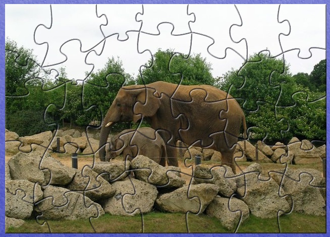 Large Elephant Jigsaw Puzzle