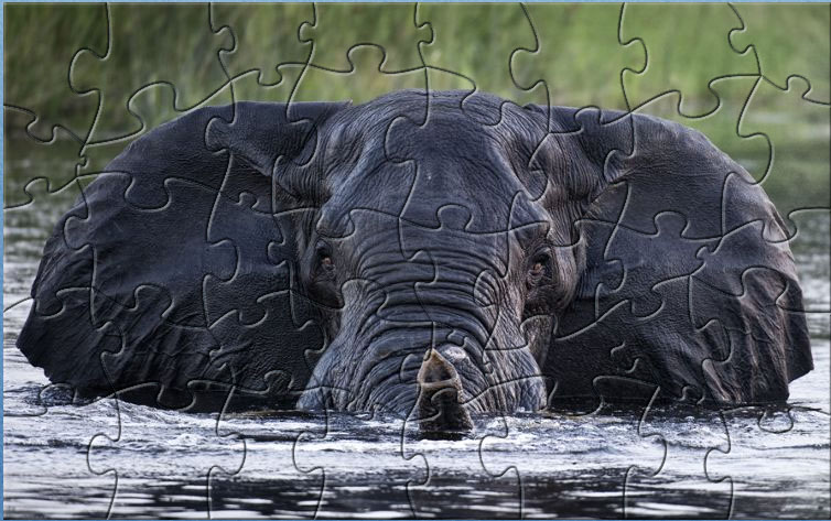 fx Elephant Puzzle