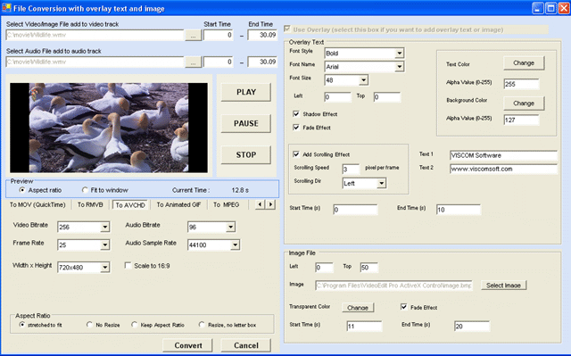 VISCOM Video Converter SDK ActiveX