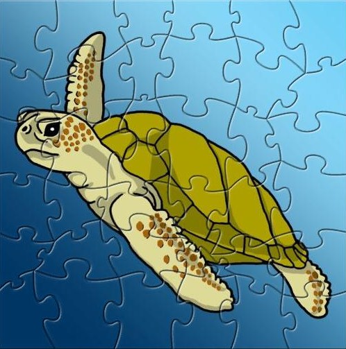 MWW Turtle Puzzle