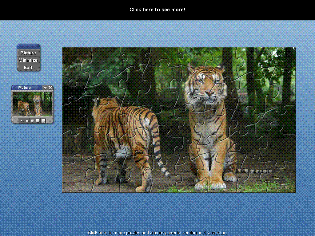 SODIW Tigers Puzzle