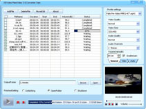 DDVideo Palm Video Converter Gain
