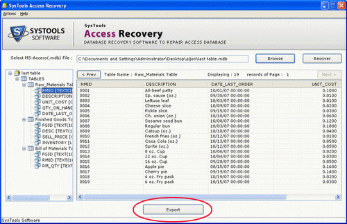 MS Access File Recovery