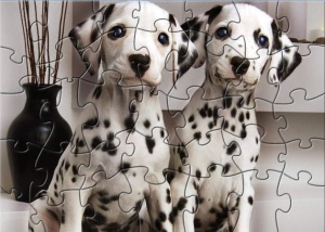 Dalmatian Puzzle