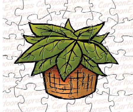 House Plant Puzzle Game