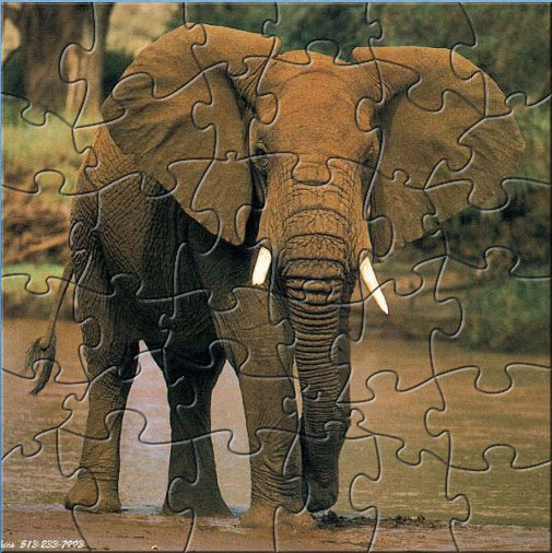 Big Elephant Puzzle