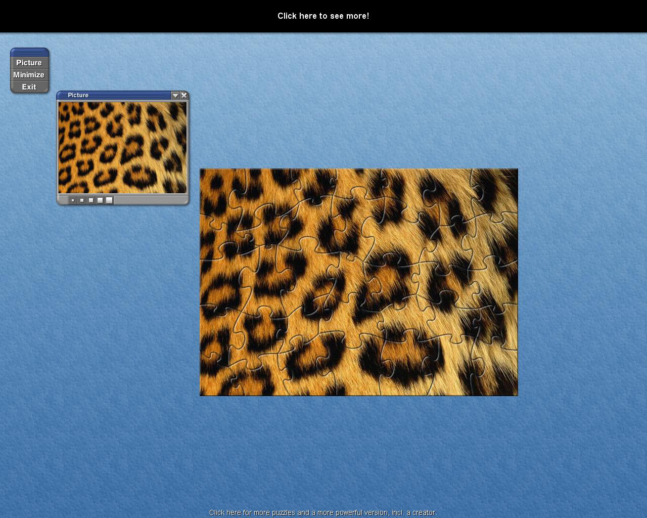 SST Leopard Skin Puzzle