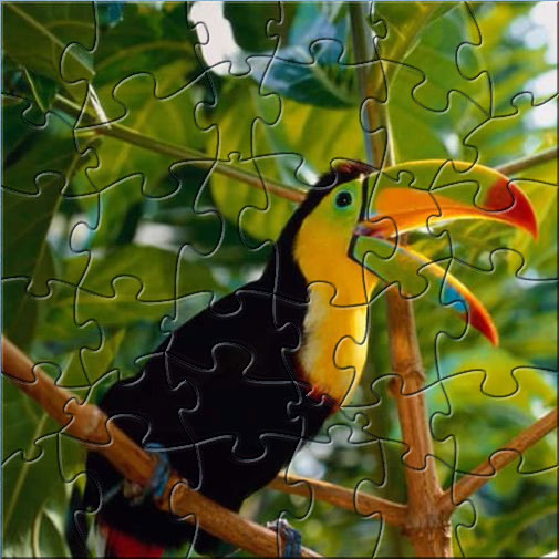 Exotic Parrot Puzzle