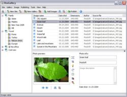 ReaGallery Pro photo album software 2.4