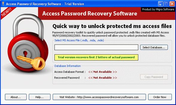 Get MS Access Password