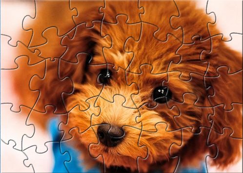 Poodle Puzzle