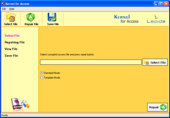 Access Database Recovery