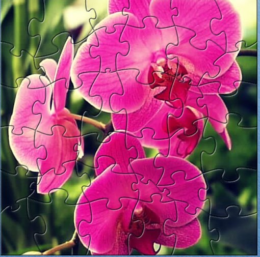 Violet Orchid Puzzle