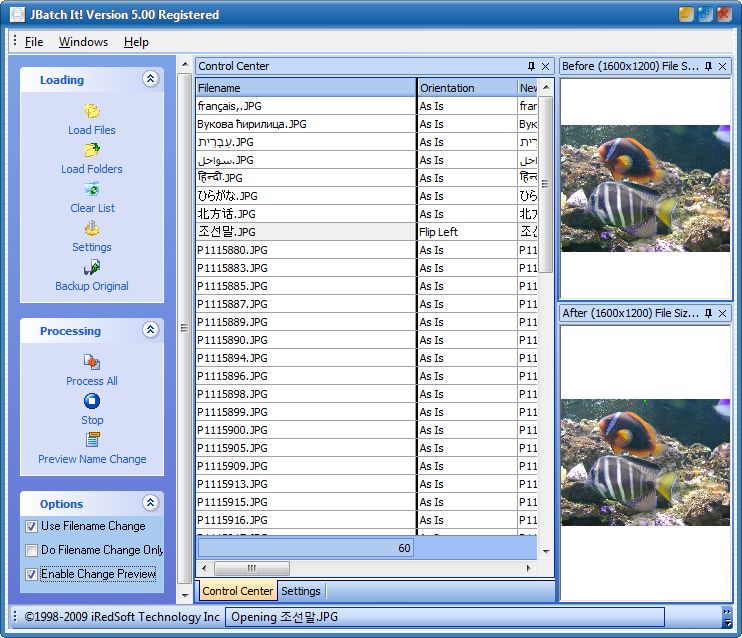 download Macromolecules Containing Metal