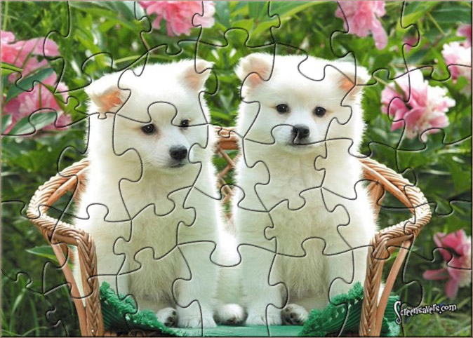 OSC Cute Puppies Puzzle