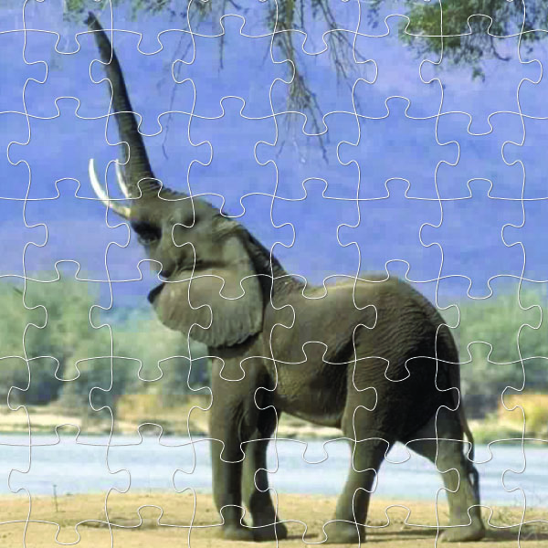 Elephant Puzzle